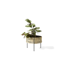 Load image into Gallery viewer, Umanoff, Planter, H: 32,5