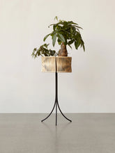 Load image into Gallery viewer, Umanoff, Planter, H: 69