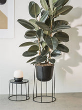 Load image into Gallery viewer, Wire Base, 404, Black
