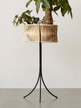 Load image into Gallery viewer, Umanoff, Planter, H: 69
