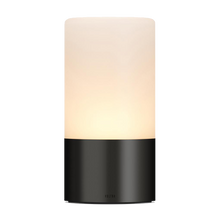 Load image into Gallery viewer, Frosted Portable Light 80  - Antique Bronze
