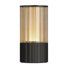 Load image into Gallery viewer, Reeded Portable Light 80- Antique Bronze
