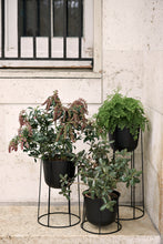 Load image into Gallery viewer, Wire Pot, Black
