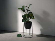 Load image into Gallery viewer, Wire Pot, Black
